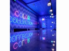 COLOR COLLECTION ~カラーコレクション~の画像・写真