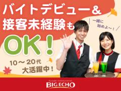 BIG ECHO(ビッグエコー) 京都駅前店の画像・写真
