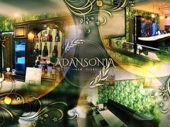 NEW CLUB ADANSONIA  - VIP -の画像・写真