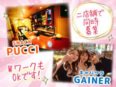 (A)GAINER(ゲイナー) (B)PUCCI(プッチ)の画像・写真